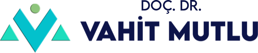 vm-logo